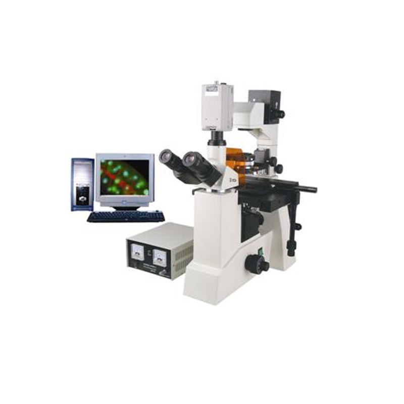 倒置改性沥青专用荧光检测显微镜BSM-800系列